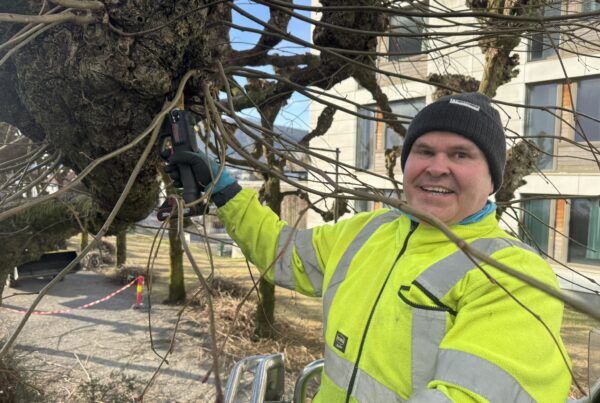 Vaktmester Einar Hønsi klipper i over to måneder.